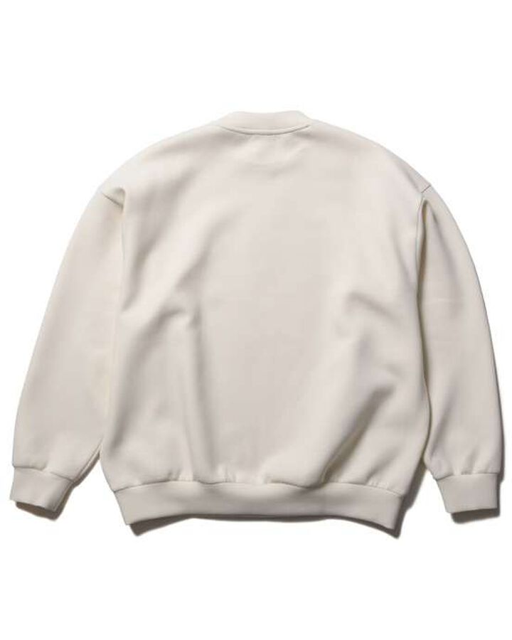 TECH SWEAT TEAM CREWNECK BAGGY TOP,OFF WHITE, medium image number 1