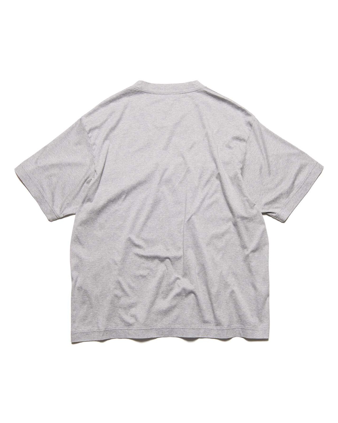 SCORPION WIDE TEE,GRAY, large image number 1