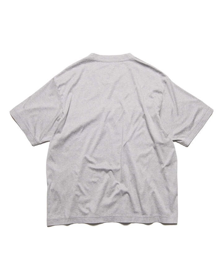 SCORPION WIDE TEE,GRAY, medium image number 1