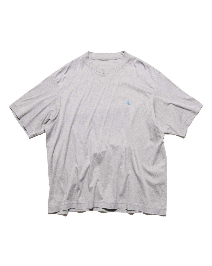 SCORPION WIDE TEE,GRAY, medium