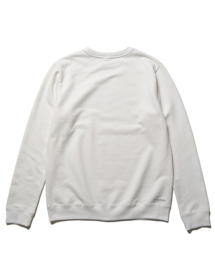 EFFECT LINE LOGO TEAM CREWNECK SWEAT,OFF WHITE, medium image number 1