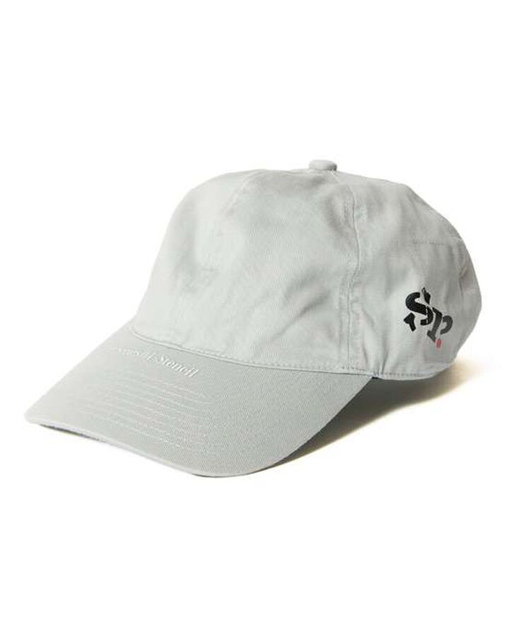 SIMON TAYLOR: LOGO CAP,GRAY, medium