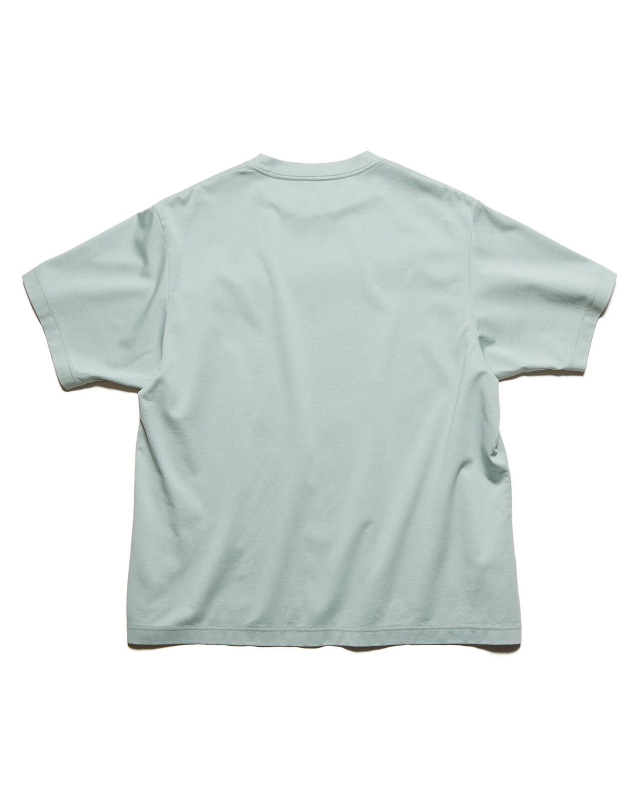 SCORPION WIDE TEE,LIGHT GREEN, large image number 1