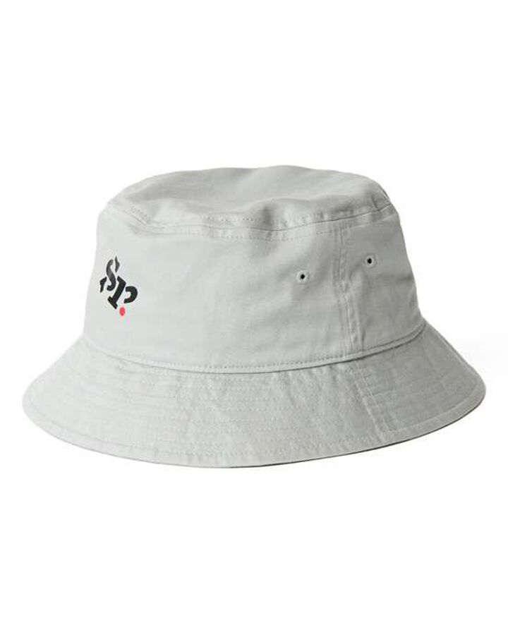 SIMON TAYLOR: LOGO HAT,GRAY, medium image number 0